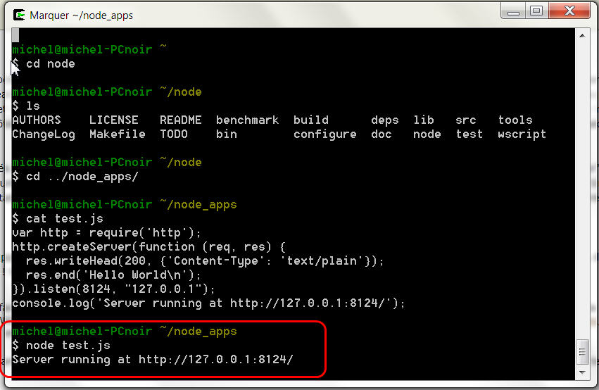 Image de la ligne de commande pour lancer l'application de test : node test.js